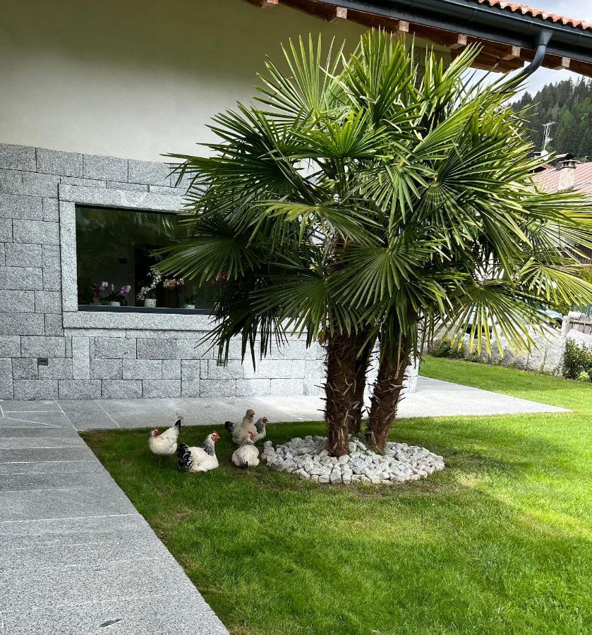 B&B Casa Il Sasso Pinzolo Ngoại thất bức ảnh